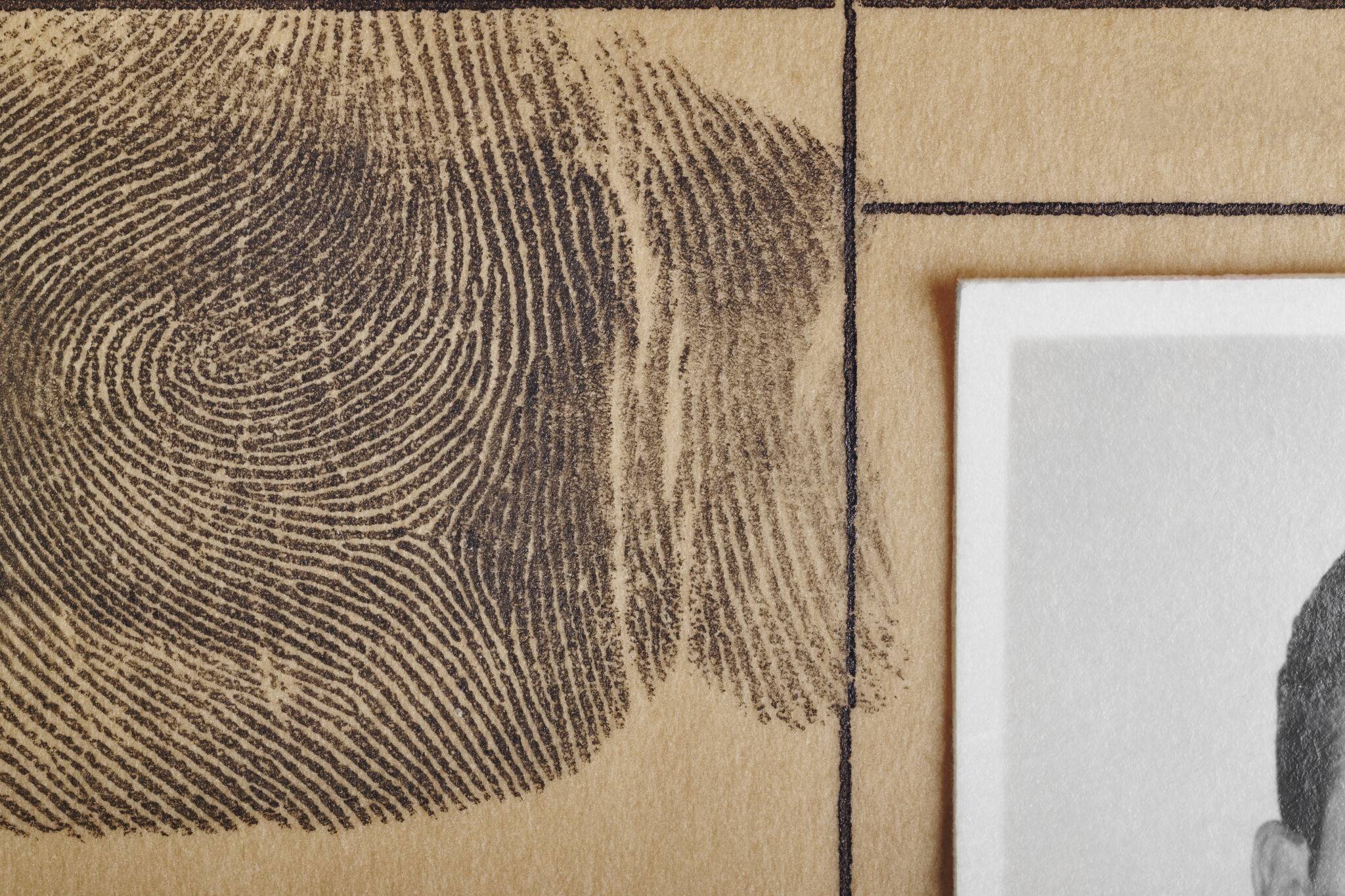 Fingerprinting And Background Check Services Near You Notary Plus More